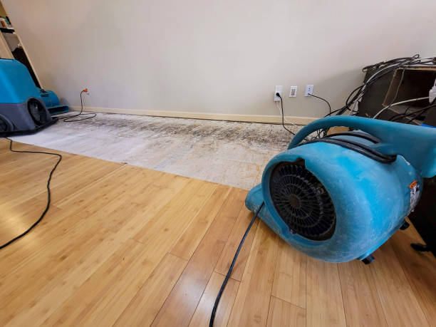 Professional Burst Pipe Water Damage technician working in Boyd, TX